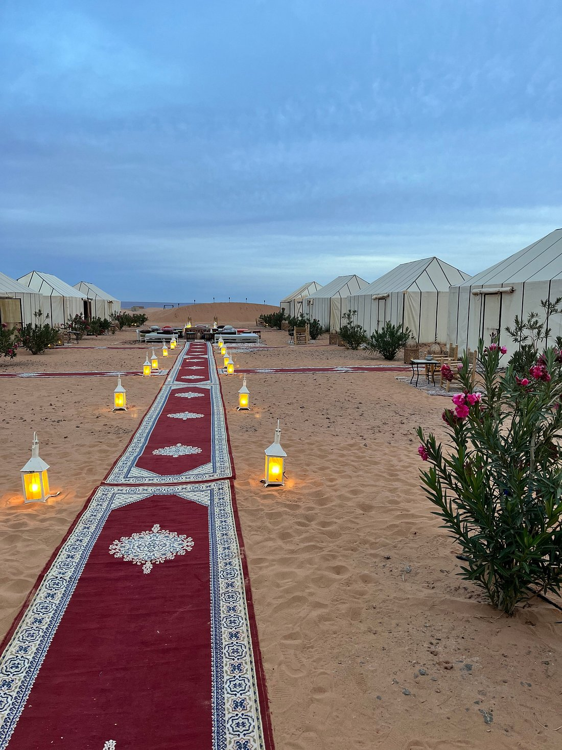Christina family celebrating in the Moroccan desert