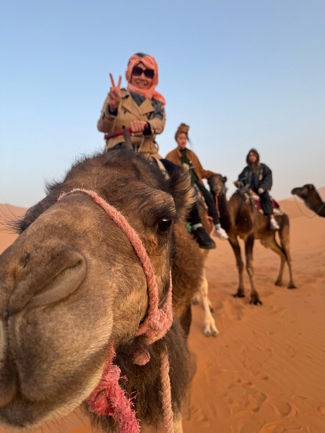 Hai Yen N family trip in the Sahara desert