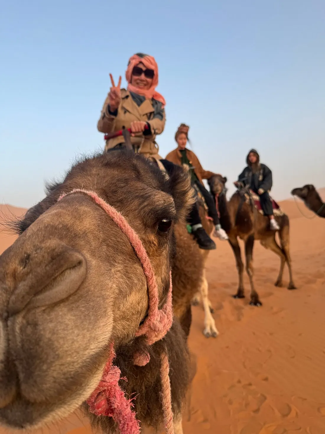 Hai Yen N family trip in the Sahara desert