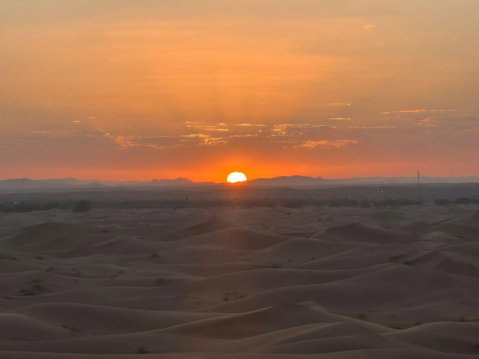 Iowa Rod sunset camel ride in the Sahara
