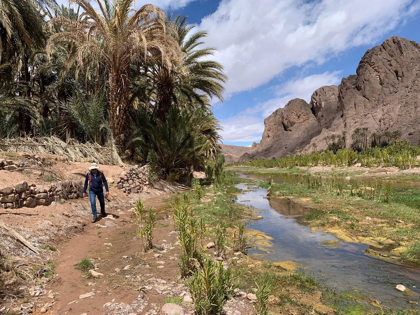 Hiker walking along a palm-fringed river through the Jbel Saghro valley