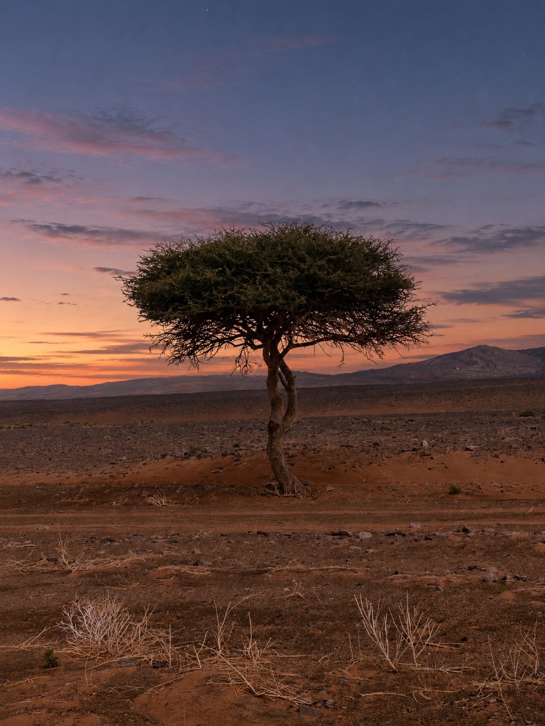 8 Day Merzouga Desert Tour from Casablanca