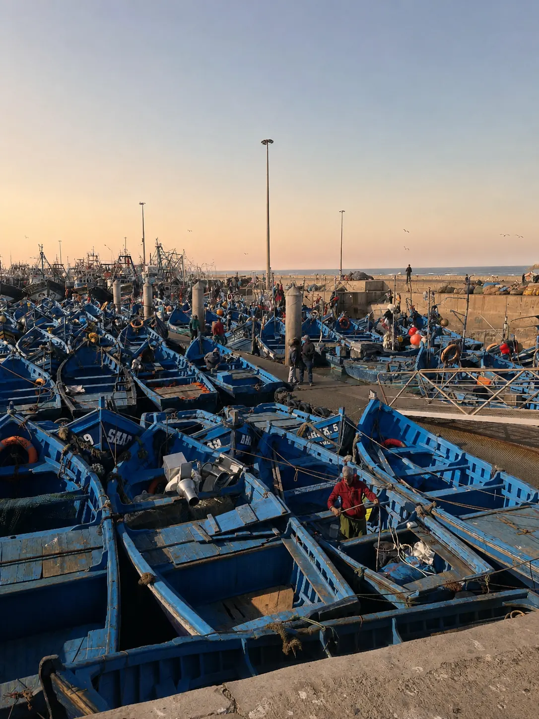 Essaouira harbour at sunset with blue fishing boats and fishermen on the quay