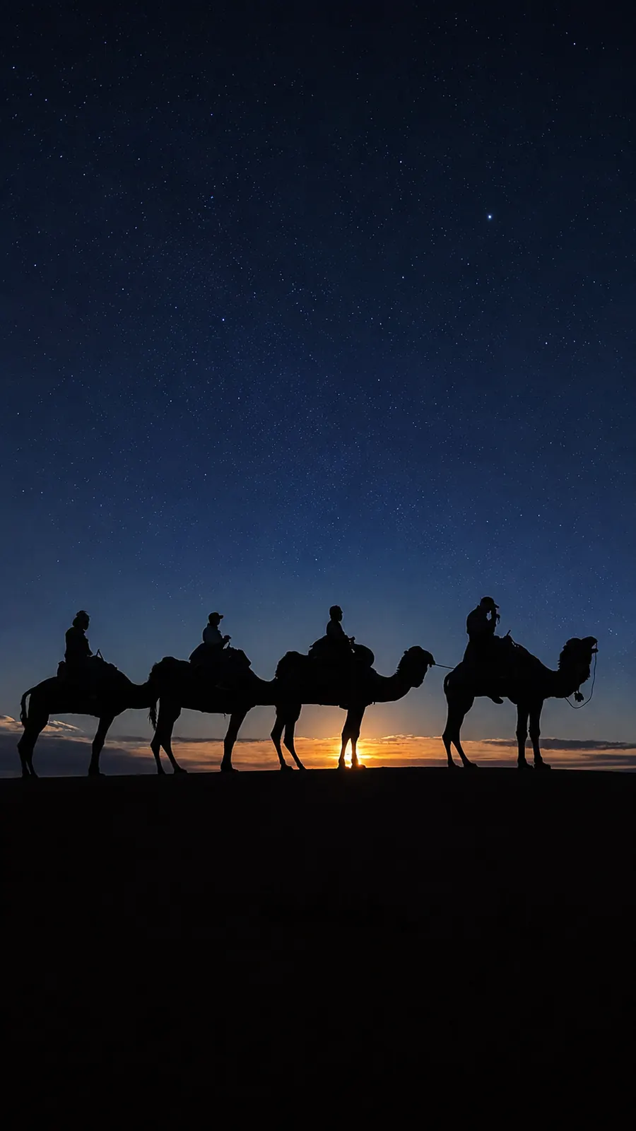 Camel caravan silhouetted against a starry desert sky at night