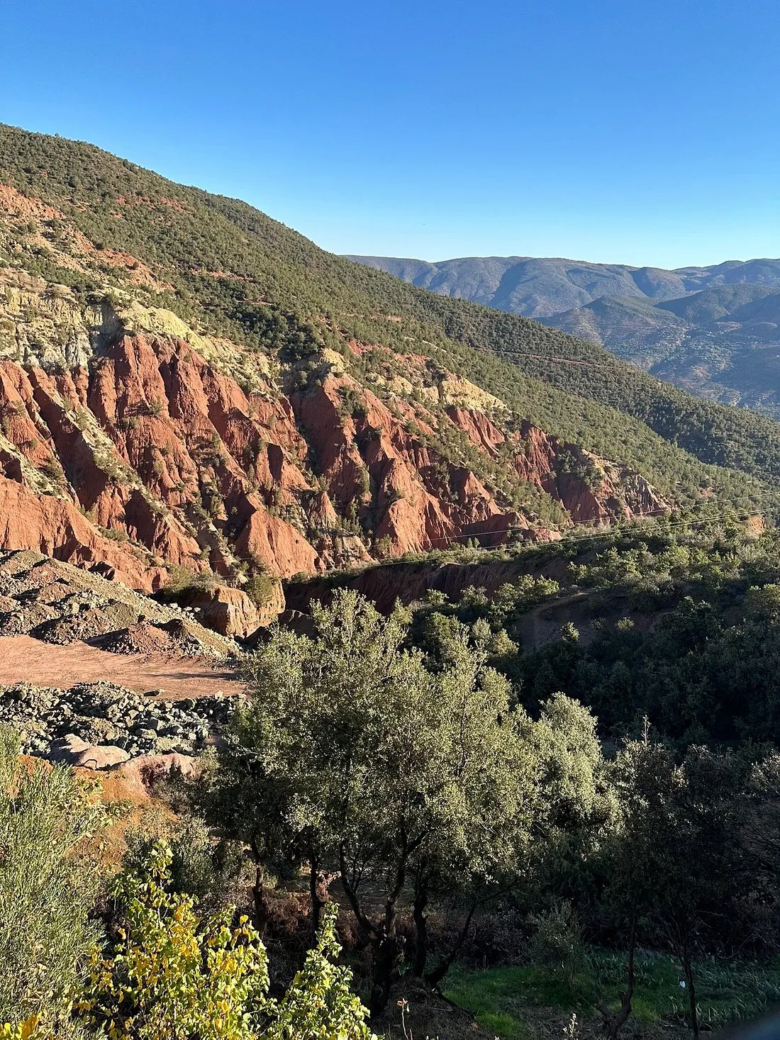 Red rock gorge and olive trees in the upper Ourika Valley