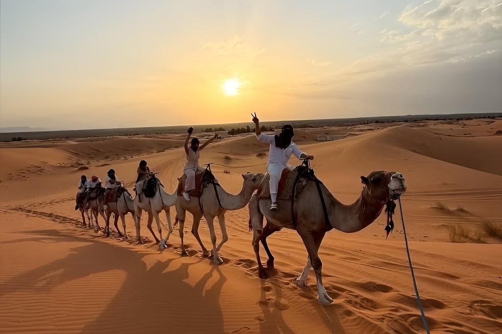 Camel caravan crossing golden Sahara dunes at sunset in Morocco