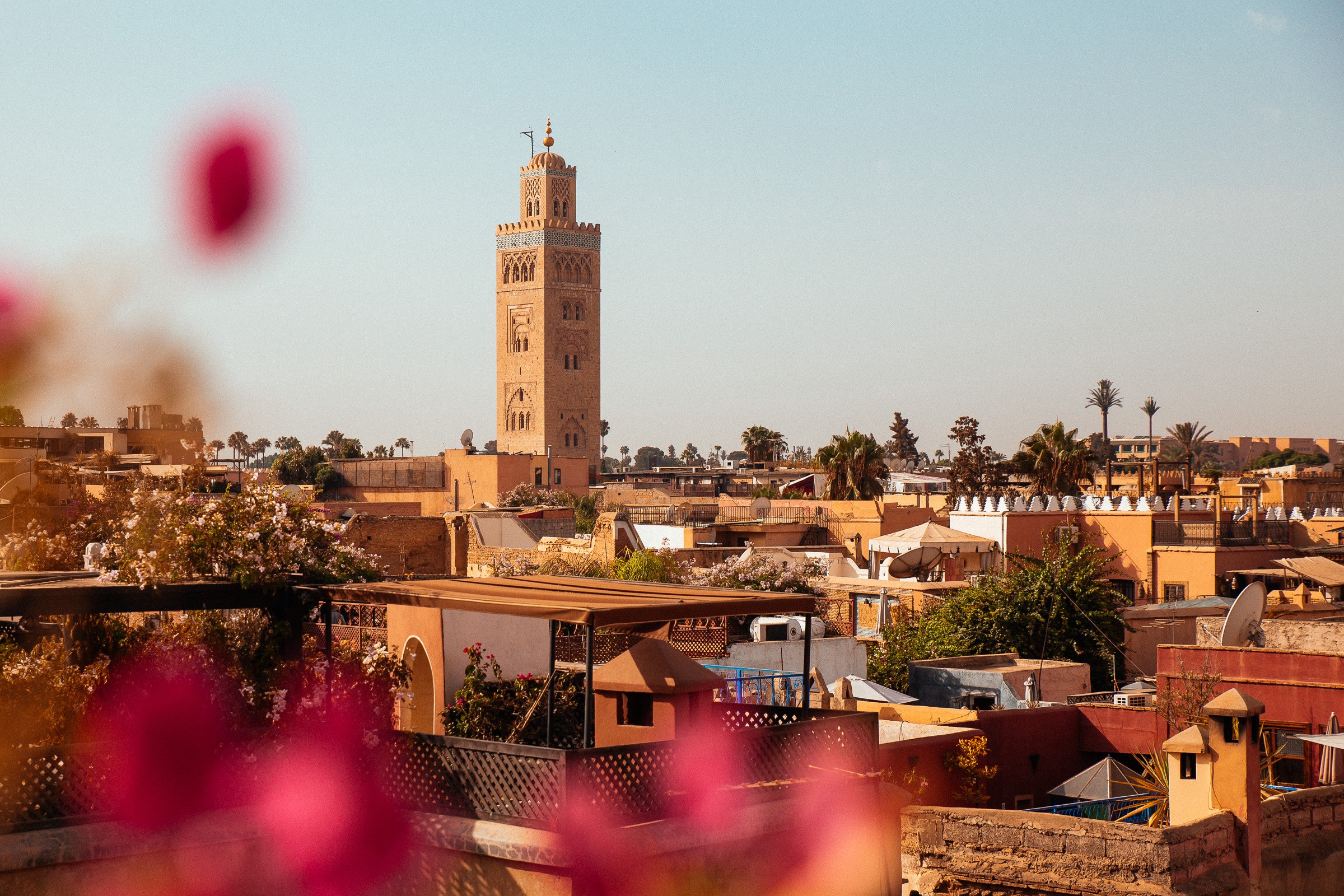 walking tour marrakech medina