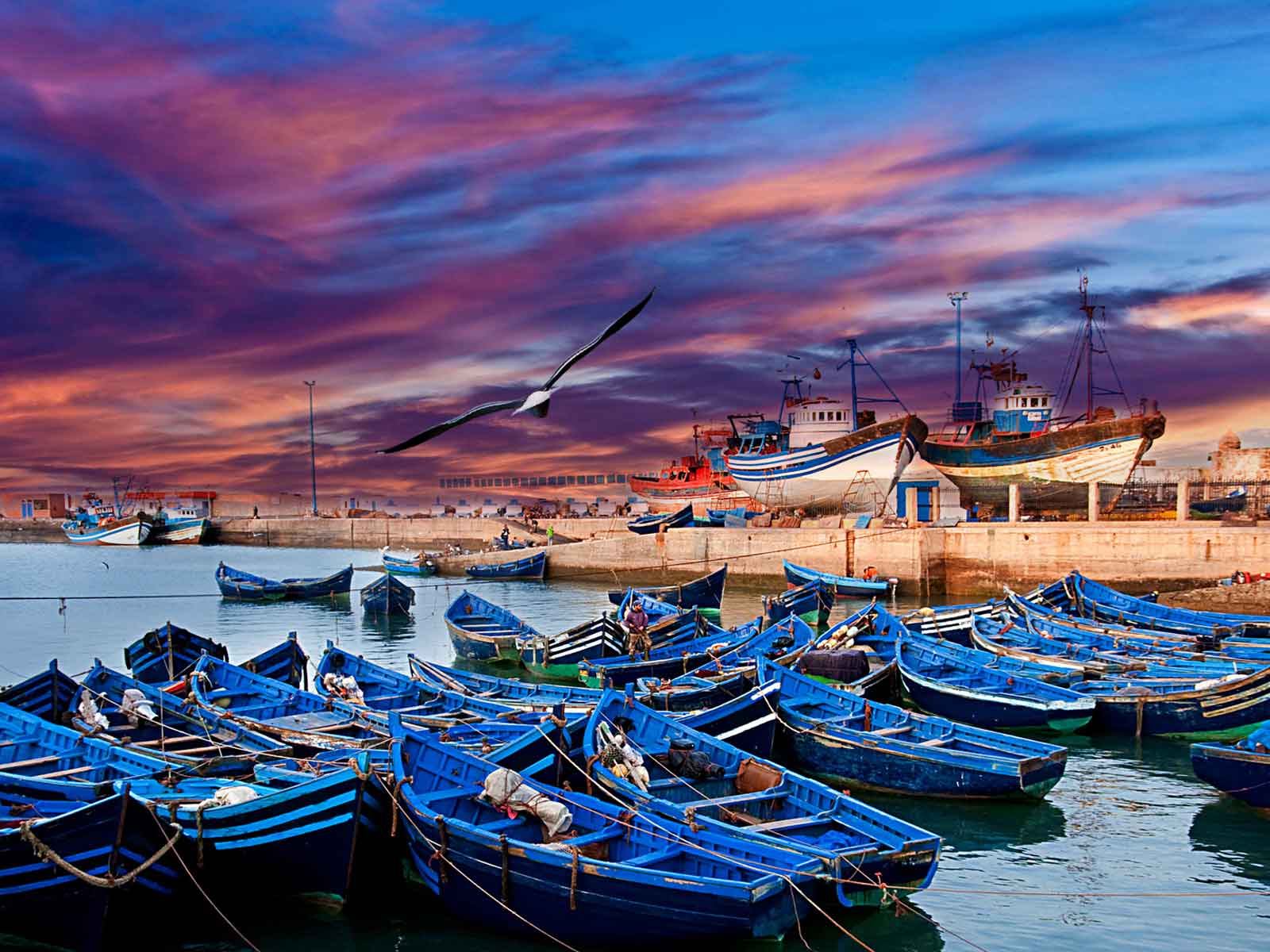 essaouira day trip